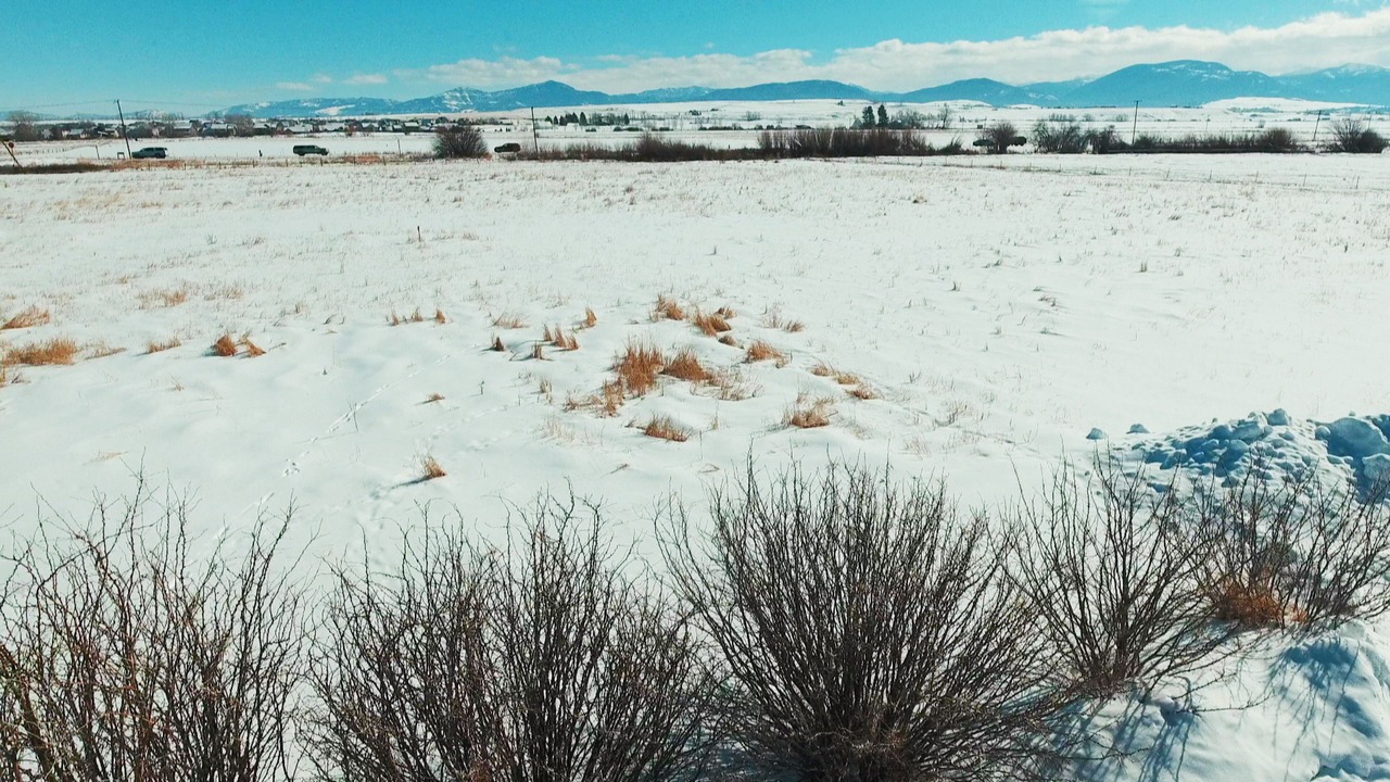 Photo of Others in Bozeman