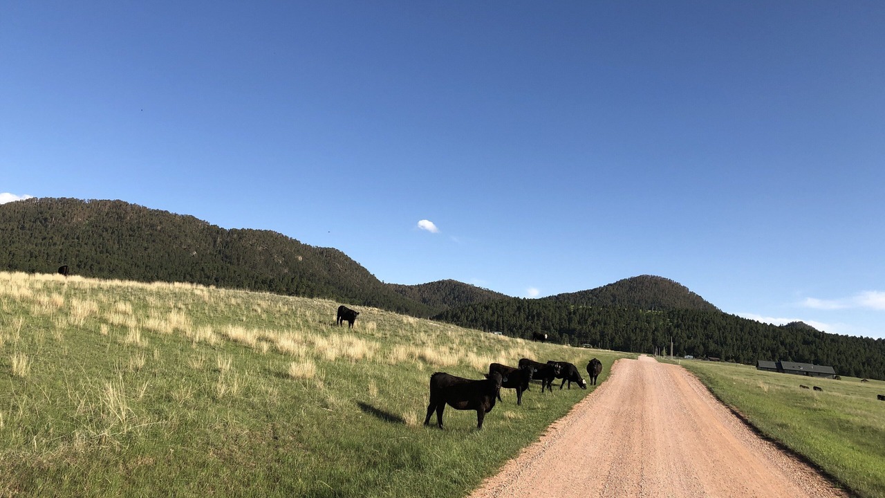 Photo of Outdoor in Sundance