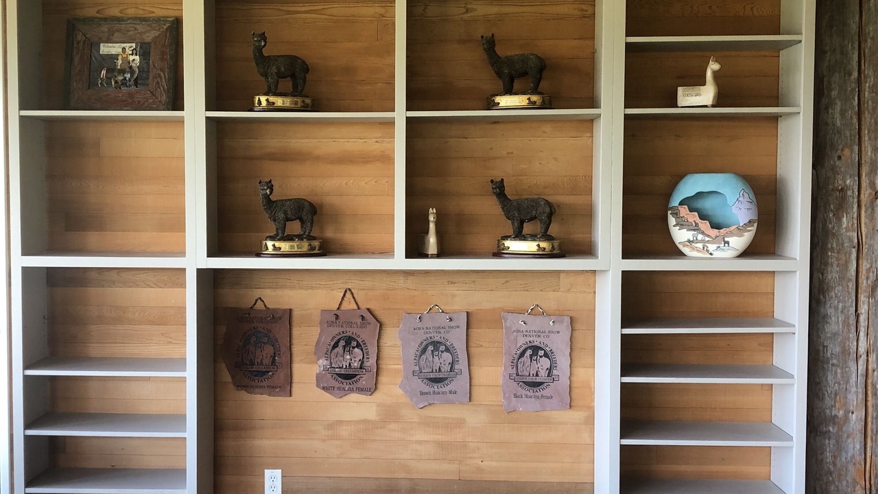 Photo of Others in Camano Island