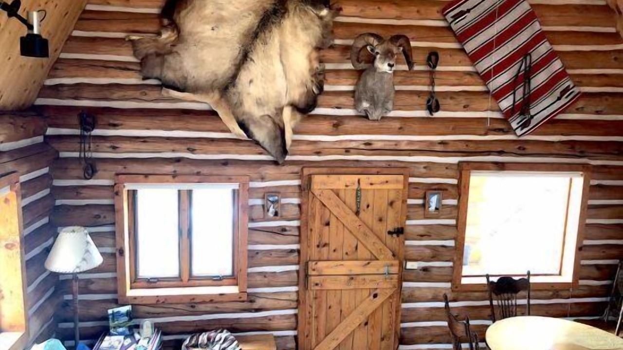 Photo of Others in Wapiti