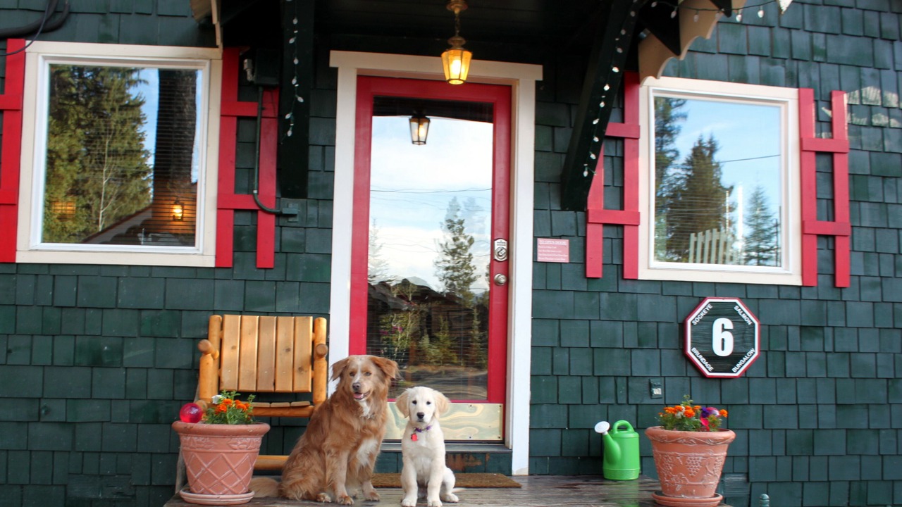 Photo of Others in McCall