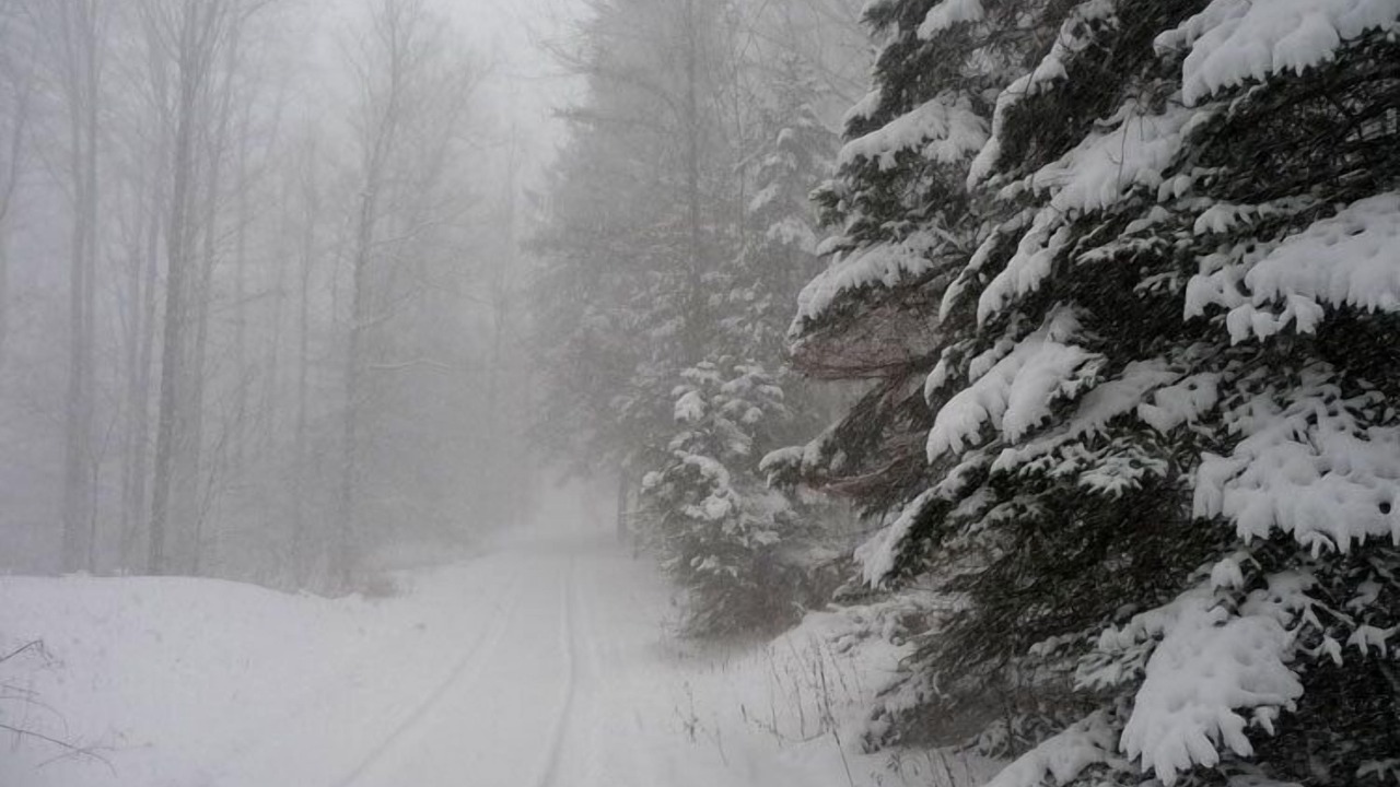 Photo of Others in Penfield