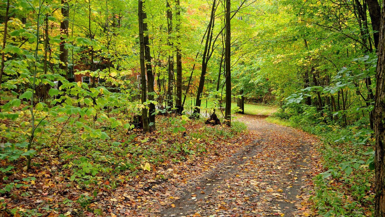 Photo of Others in Penfield