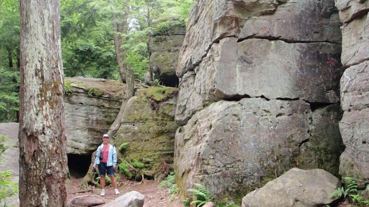 Photo of Others in Penfield