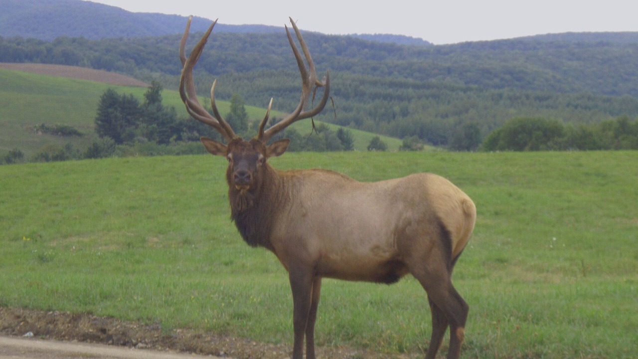 Photo of Others in Penfield