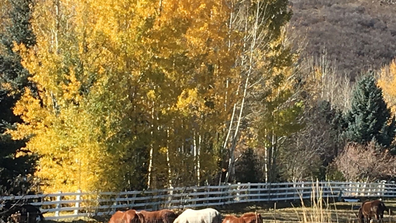 Photo of Others in Park City