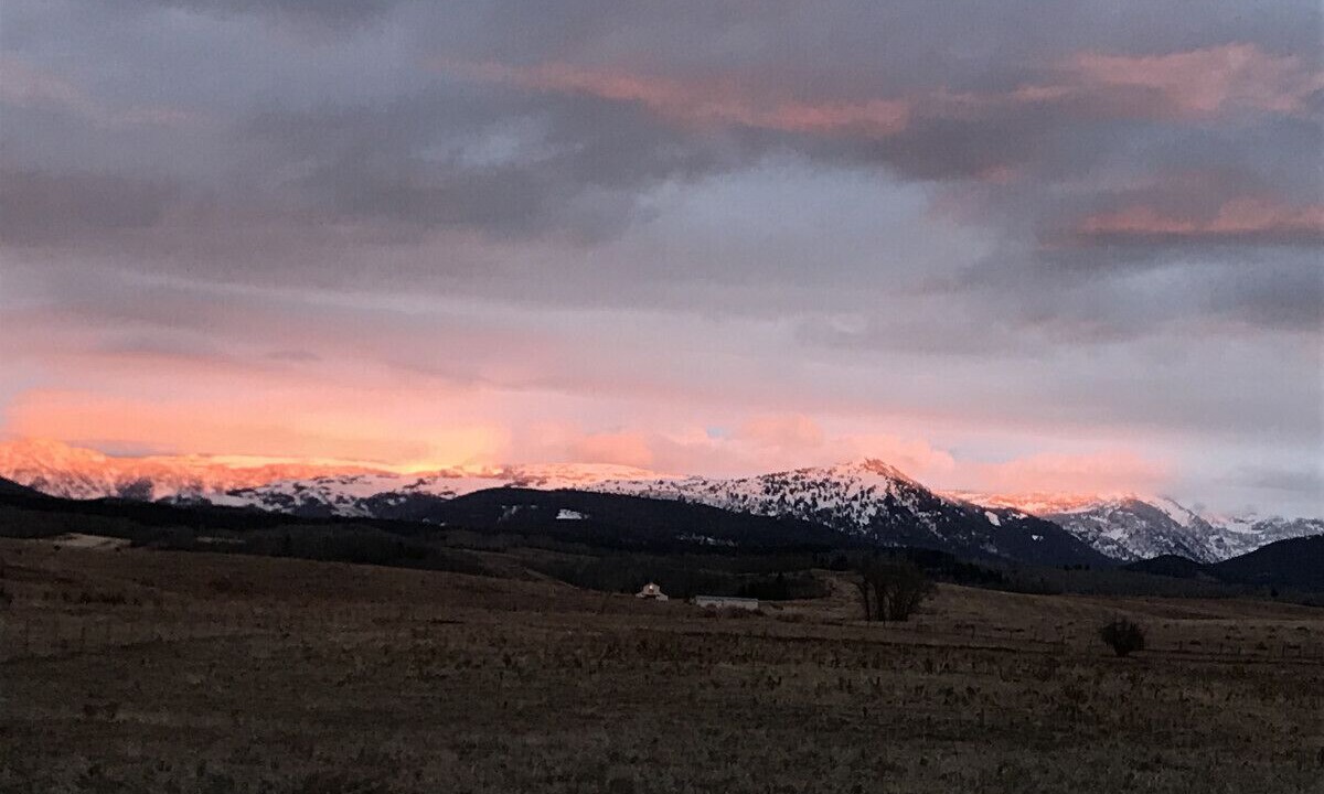 Photo of Others in Tetonia