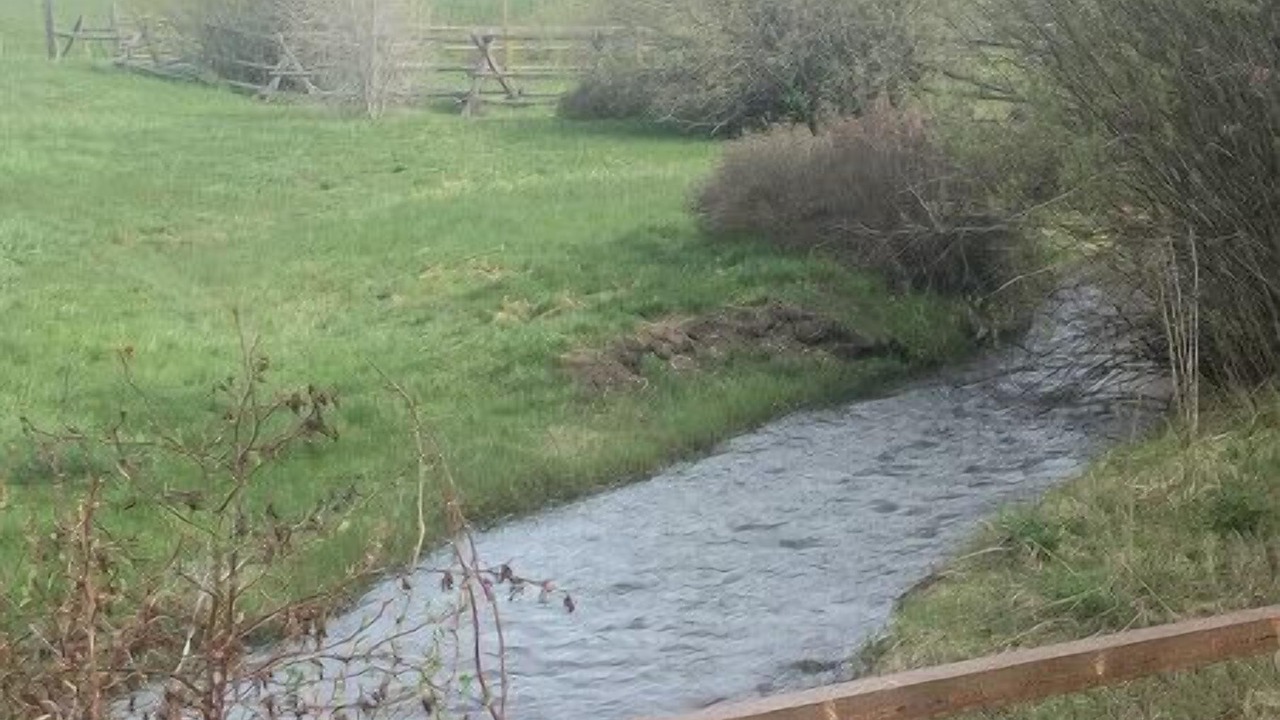 Photo of Others in Tetonia