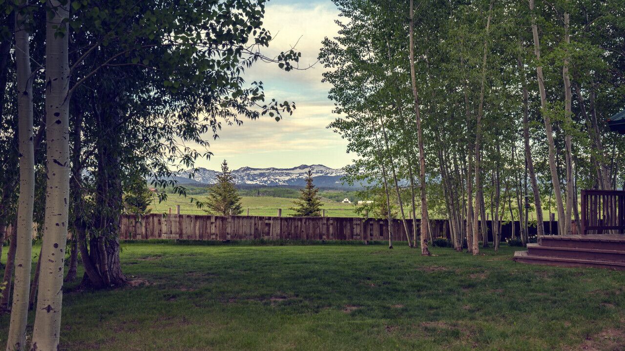 Photo of Others in Tetonia
