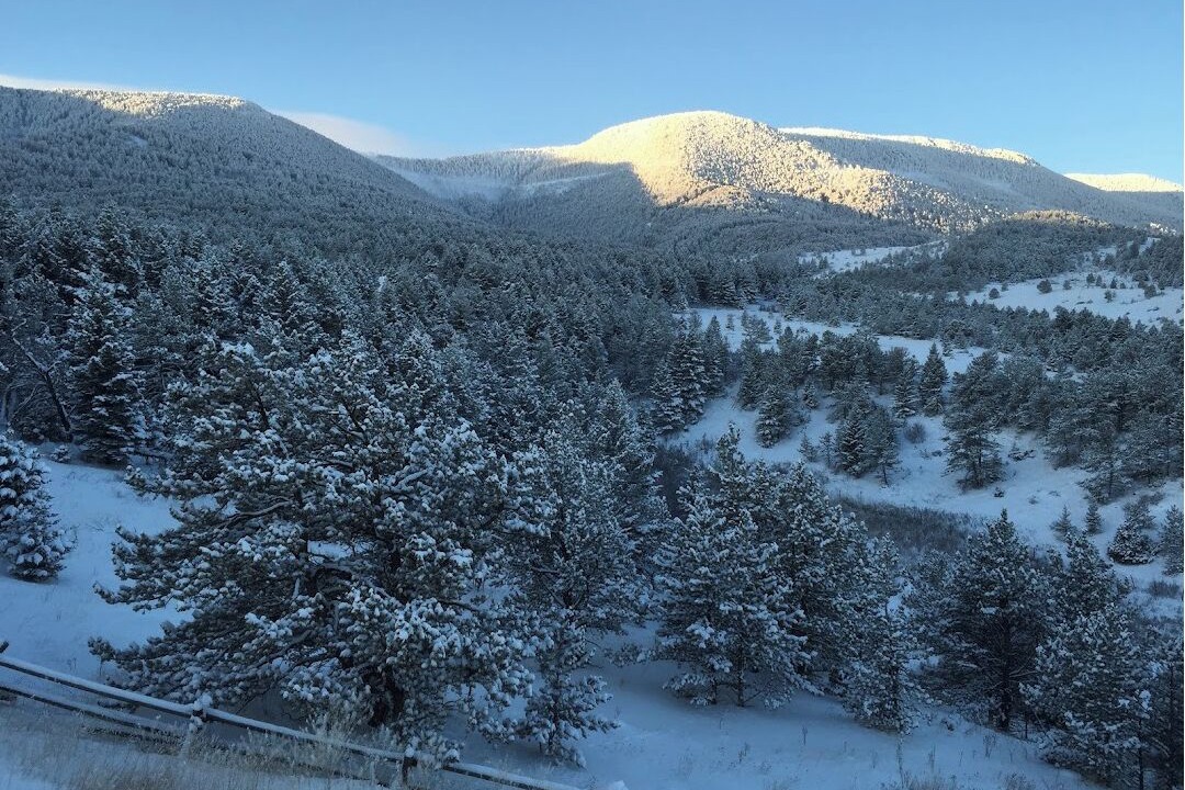 Photo of Outdoor in Livingston