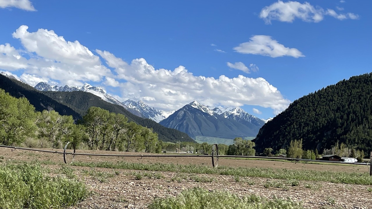 Photo of Outdoor in Livingston