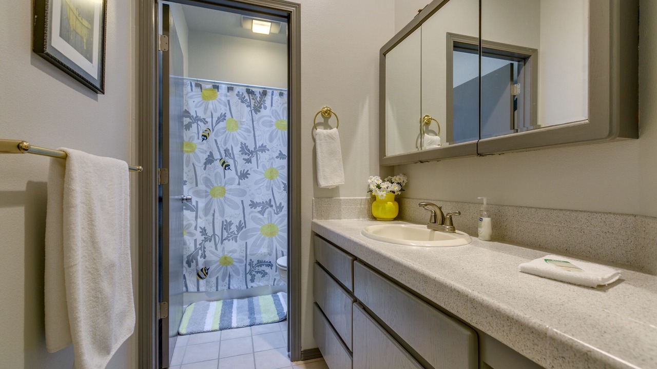 Photo of Bathroom in Eagle