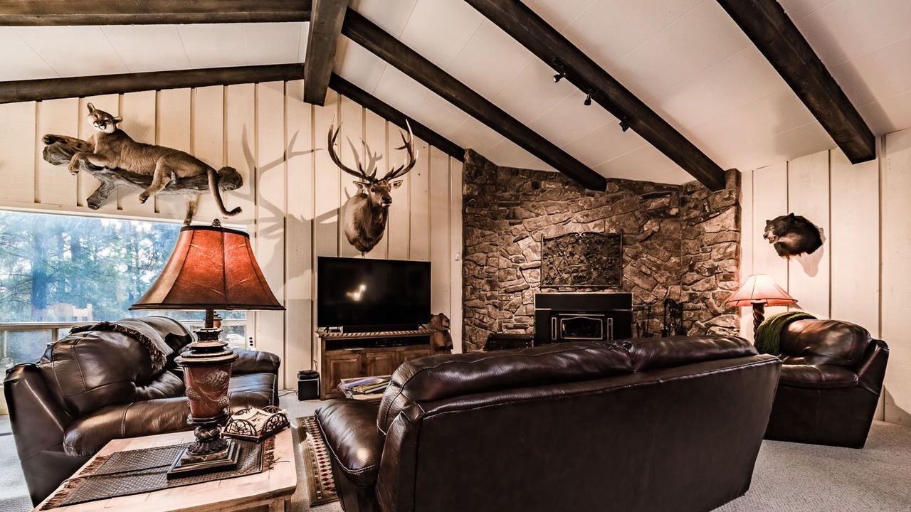 Photo of Livingroom in Alto