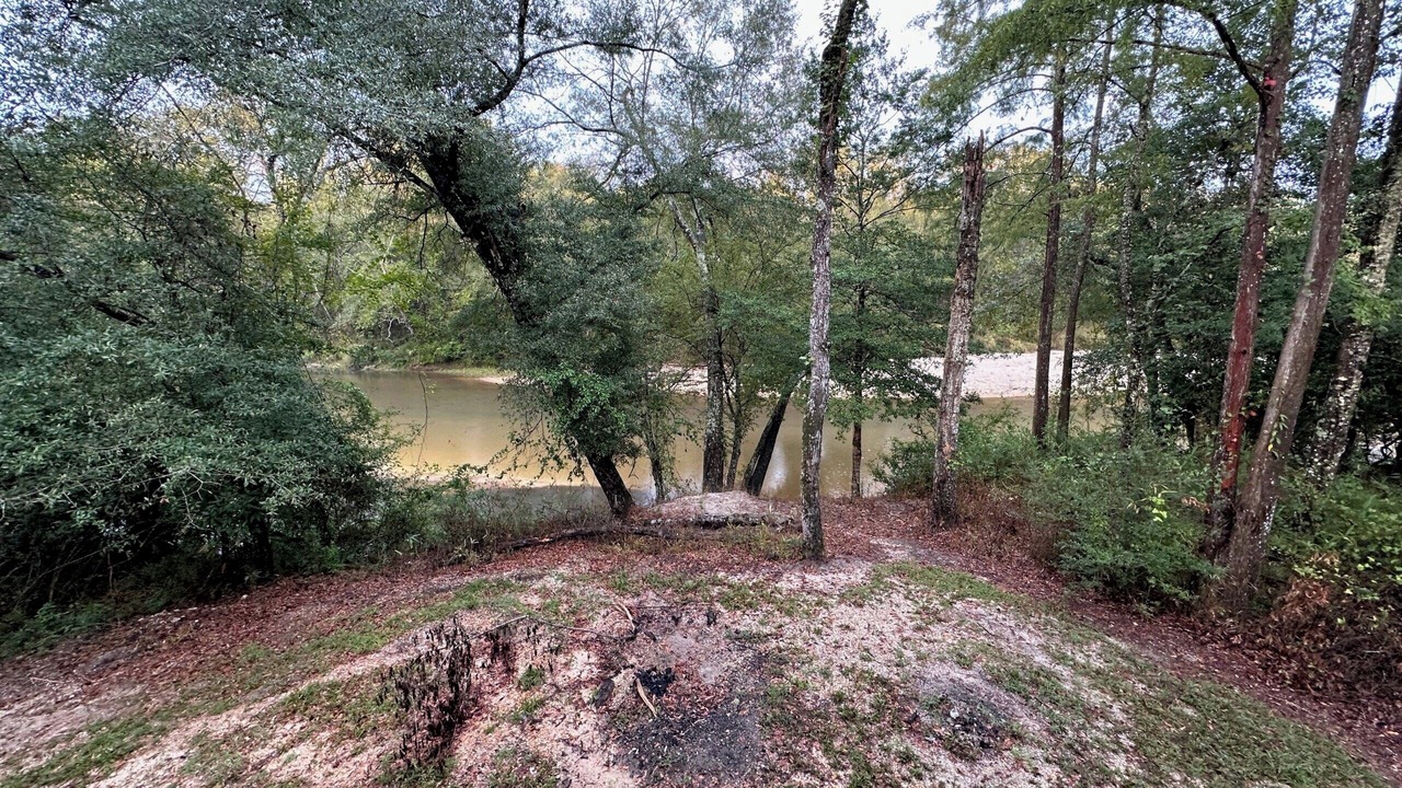 Photo of Others in Perkinston