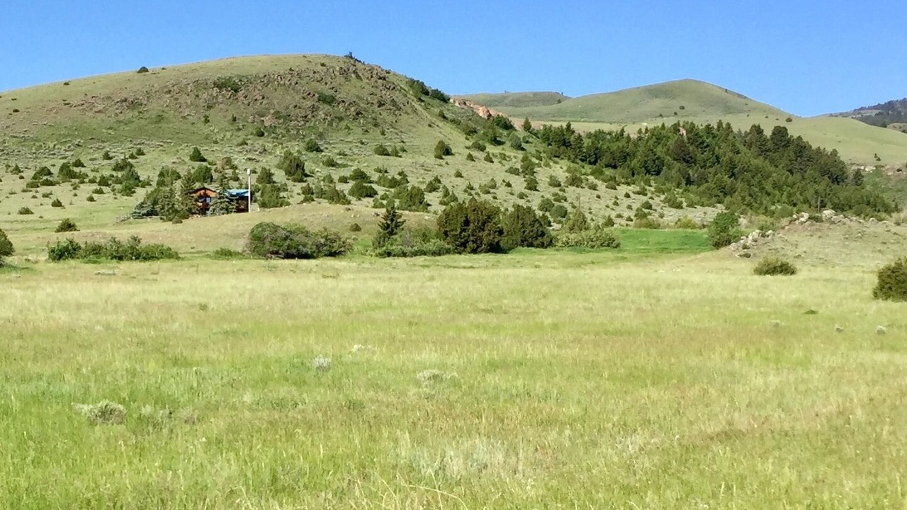 Photo of Others in Shining Mountains