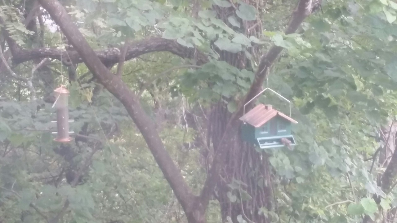 Photo of Outdoor in Harrison