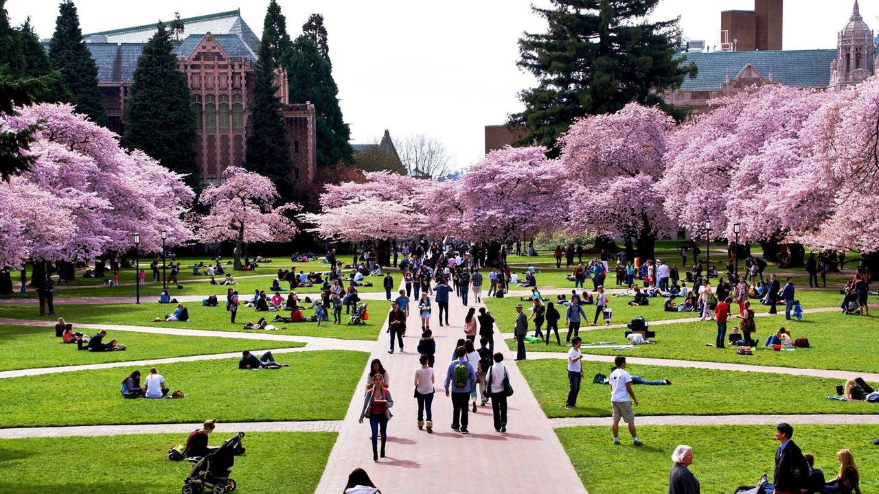 Photo of Others in University District
