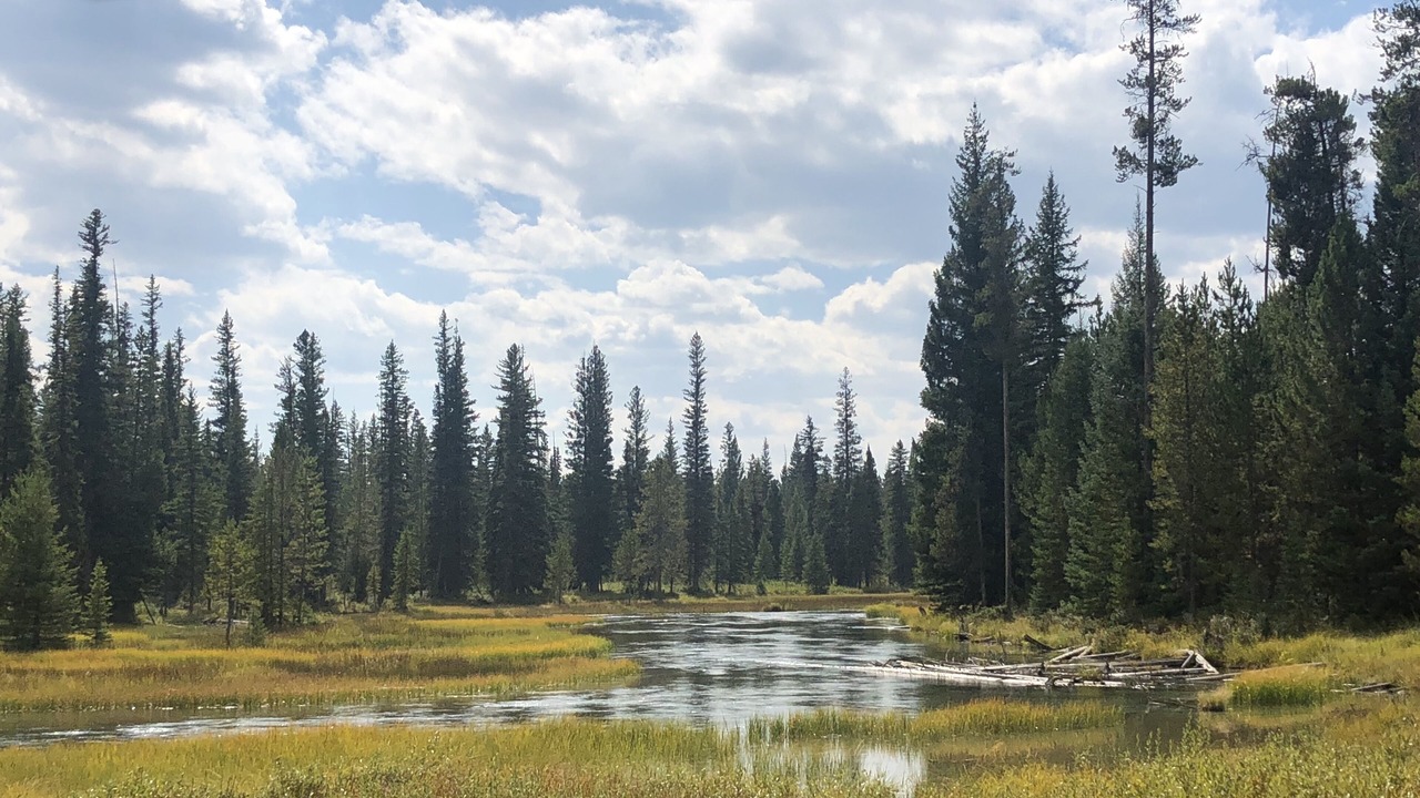 Photo of Outdoor in Island Park