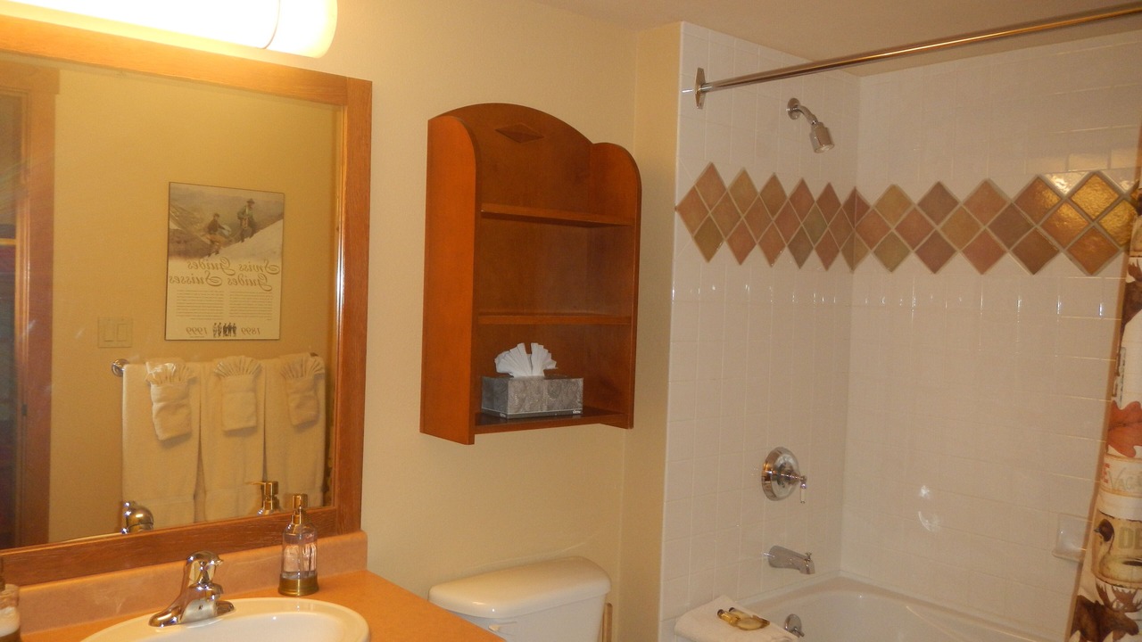 Photo of Bathroom in Salt Lake Mountain Resorts