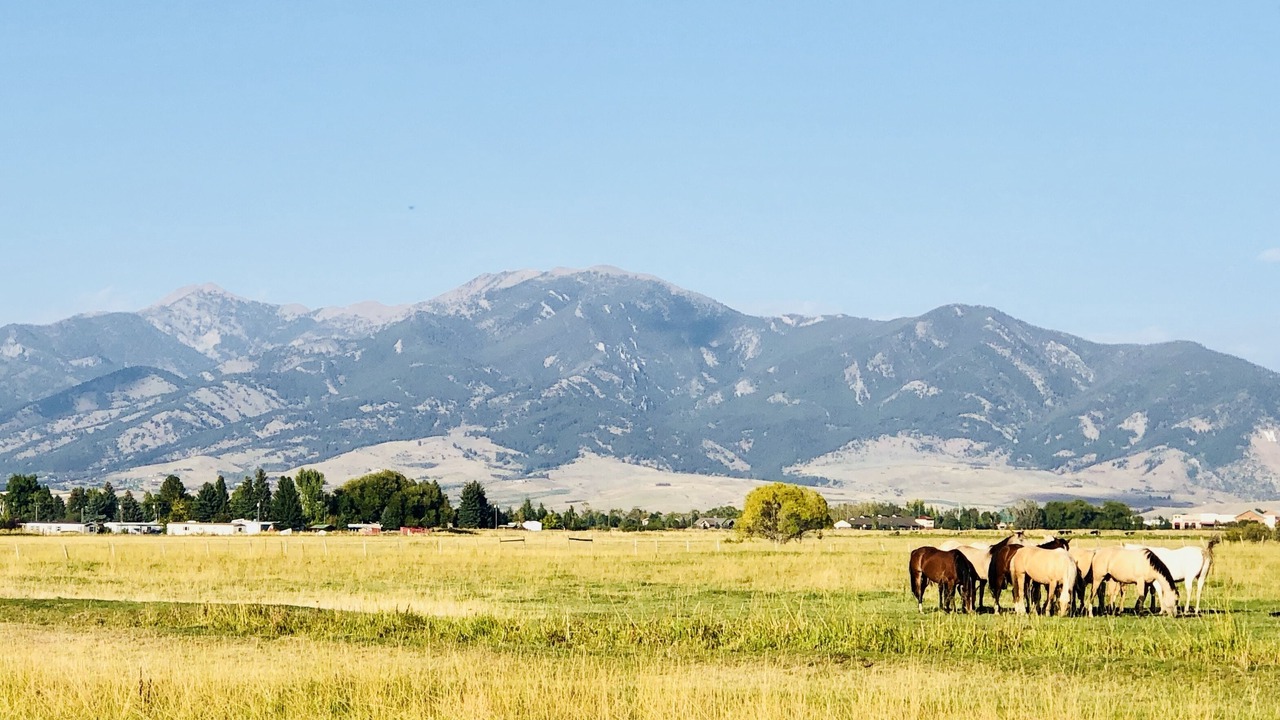 Photo of Others in Bozeman