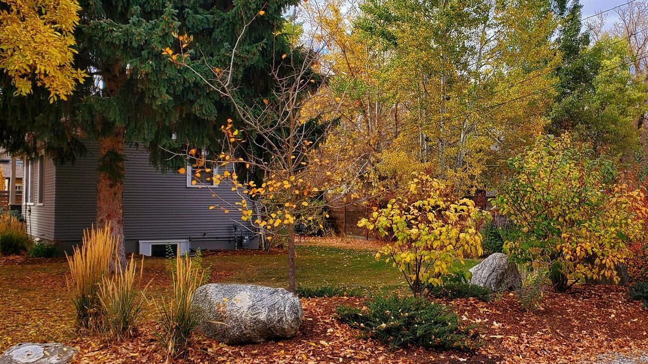 Photo of Outdoor in Bozeman