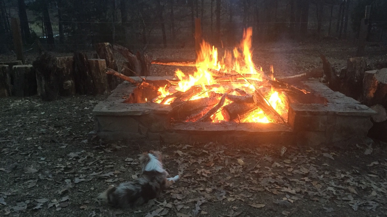 Photo of Others in Jefferson