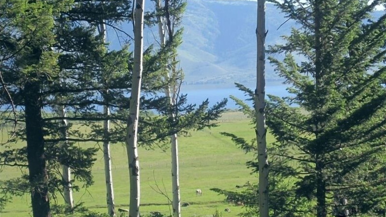 Photo of Outdoor in Island Park
