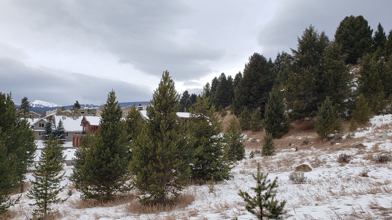Photo of Others in Big Sky Meadow Village