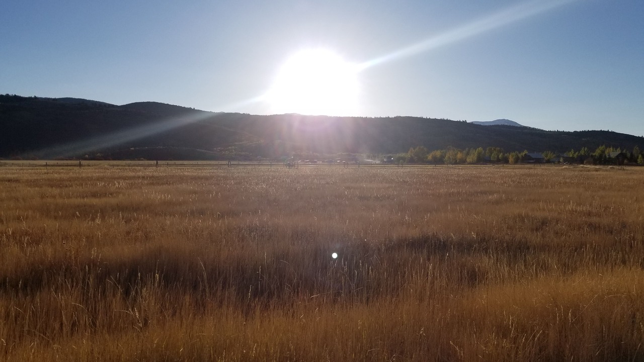 Photo of Outdoor in Victor