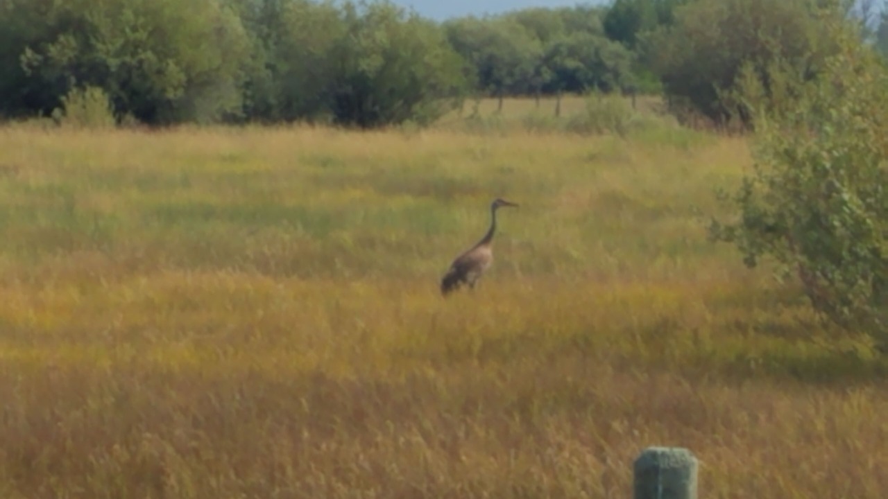 Photo of Others in Victor