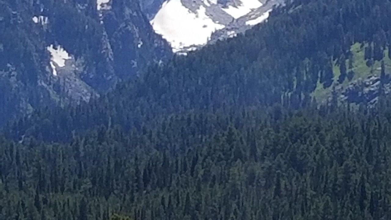 Photo of Outdoor in Victor