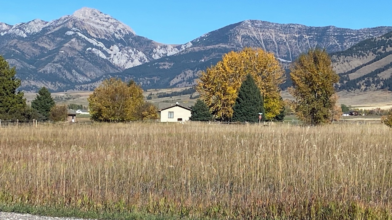 Photo of Others in Bozeman
