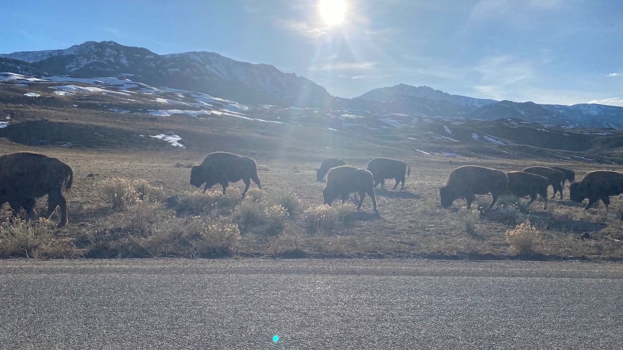 Photo of Others in Bozeman