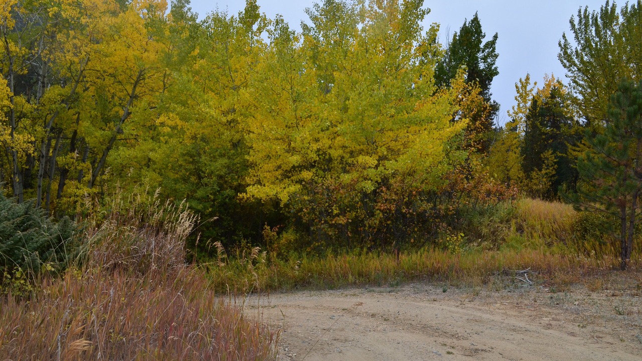 Photo of Outdoor in Red Lodge