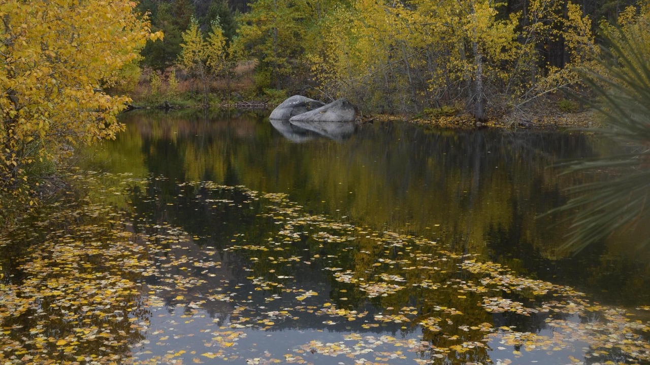 Photo of Others in Red Lodge