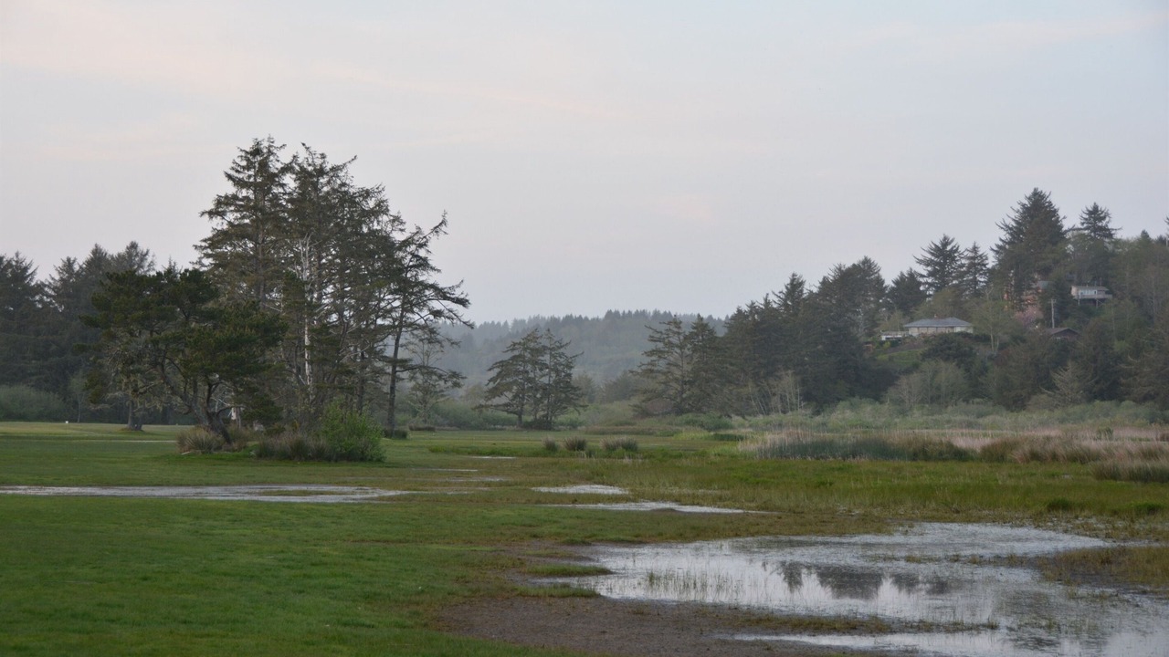 Photo of Others in Neskowin