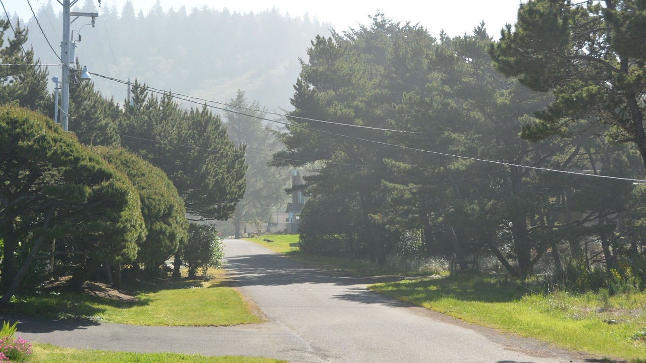 Photo of Others in Neskowin