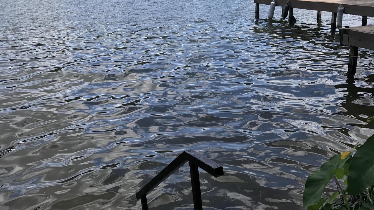 Photo of Outdoor in Piney