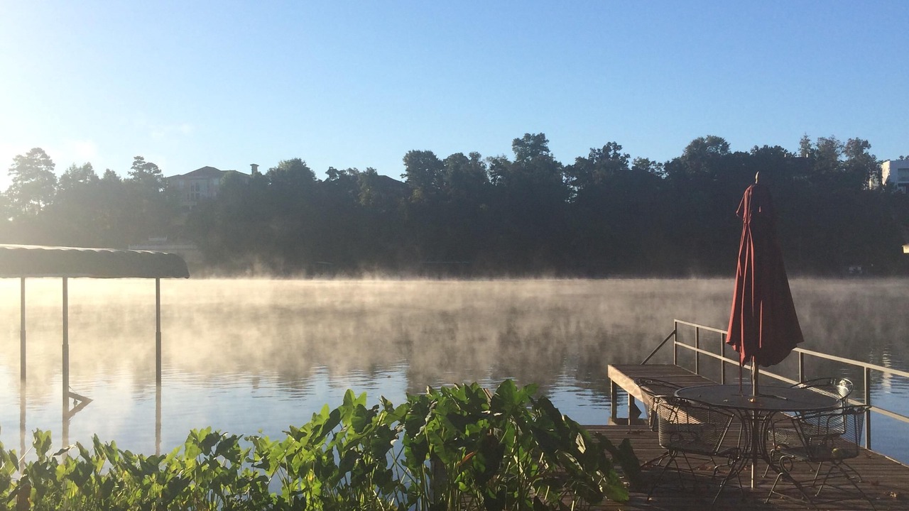 Photo of Outdoor in Piney