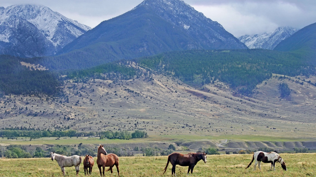Photo of Outdoor in Livingston
