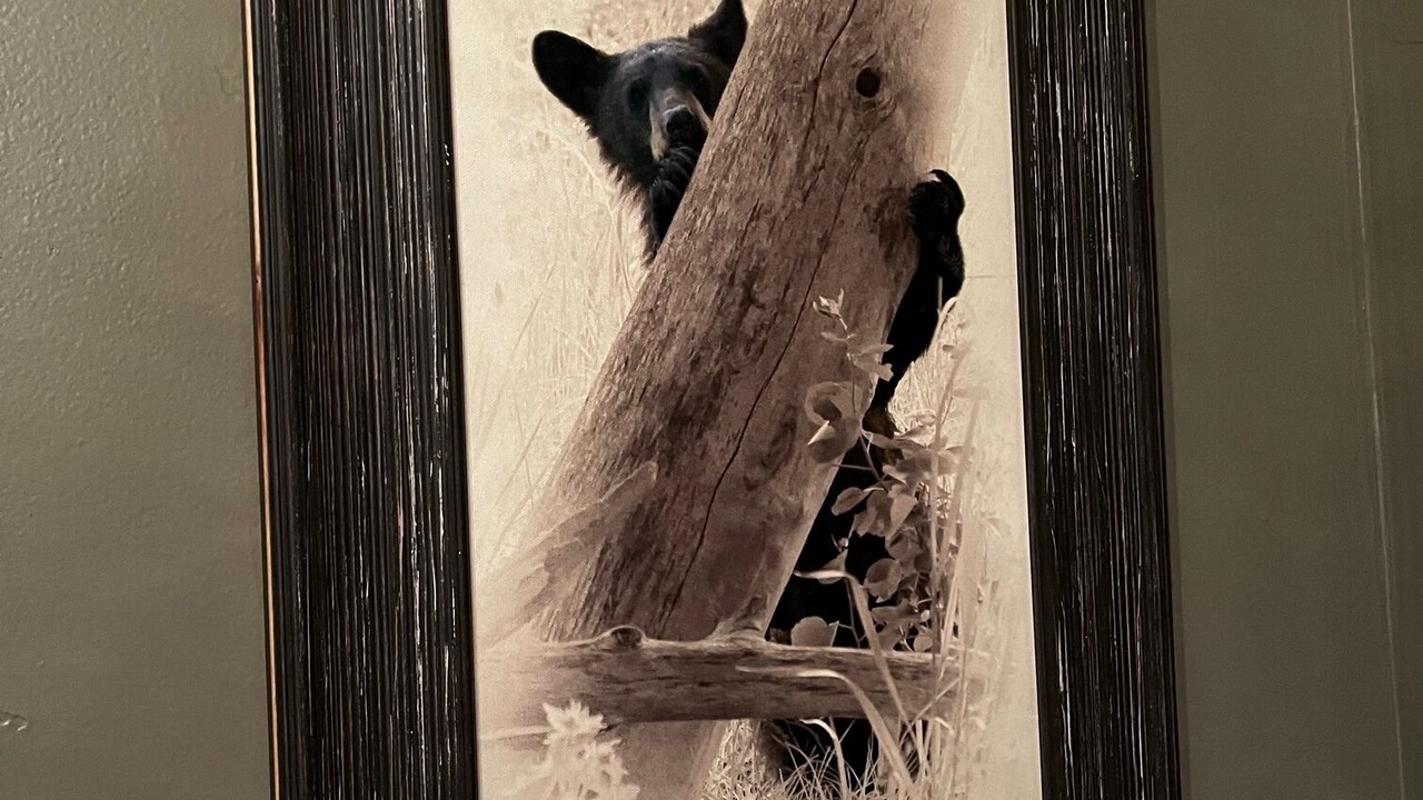 Photo of Others in Livingston
