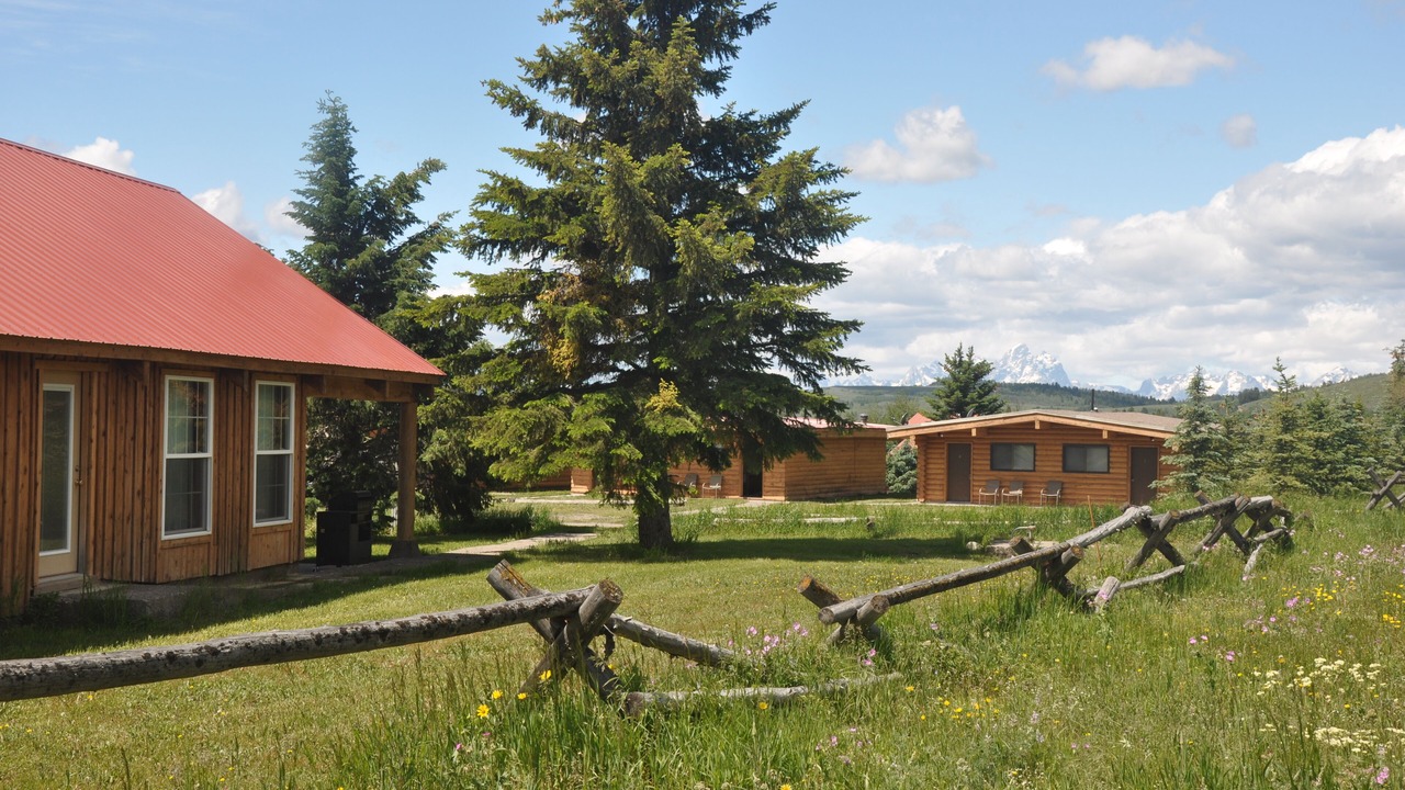 Photo of Others in Moran