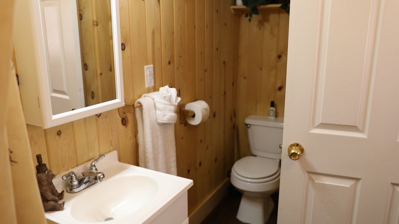 Photo of Bathroom in Island Park