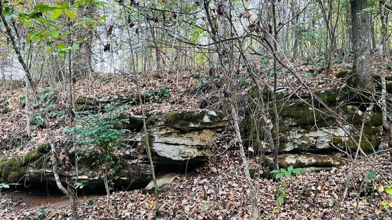 Photo of Outdoor in Fountain Run