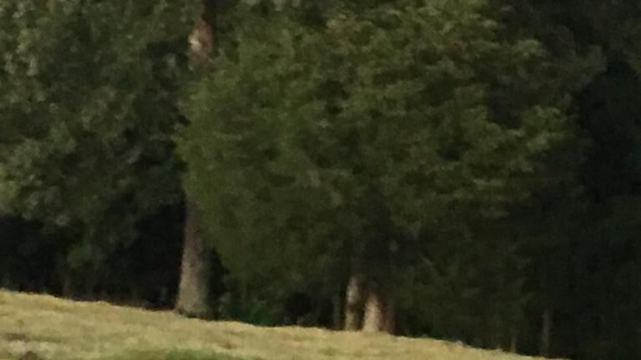 Photo of Others in Fountain Run