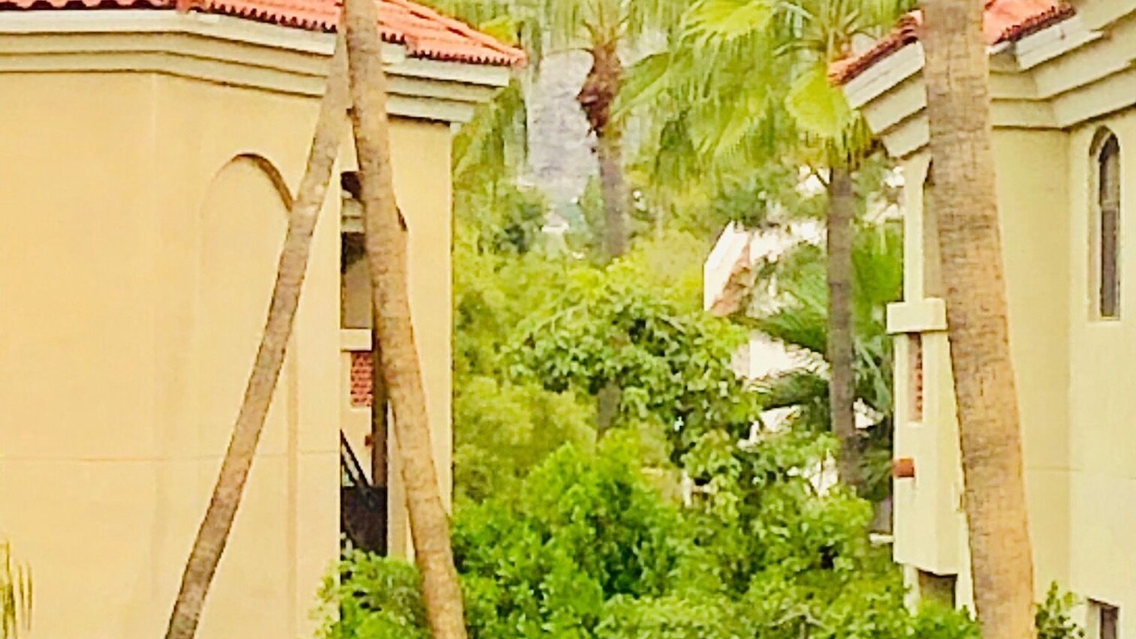 Photo of Bedroom in Camelback East
