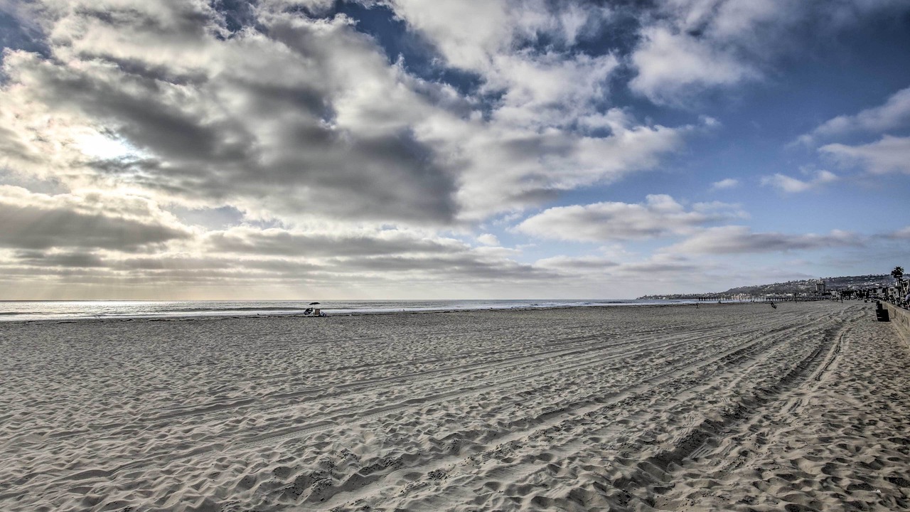 Photo of Others in Mission Beach
