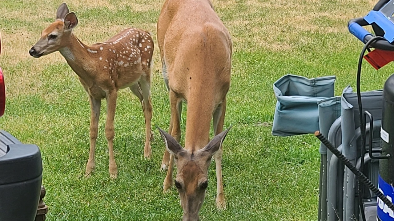 Photo of Others in Kalispell