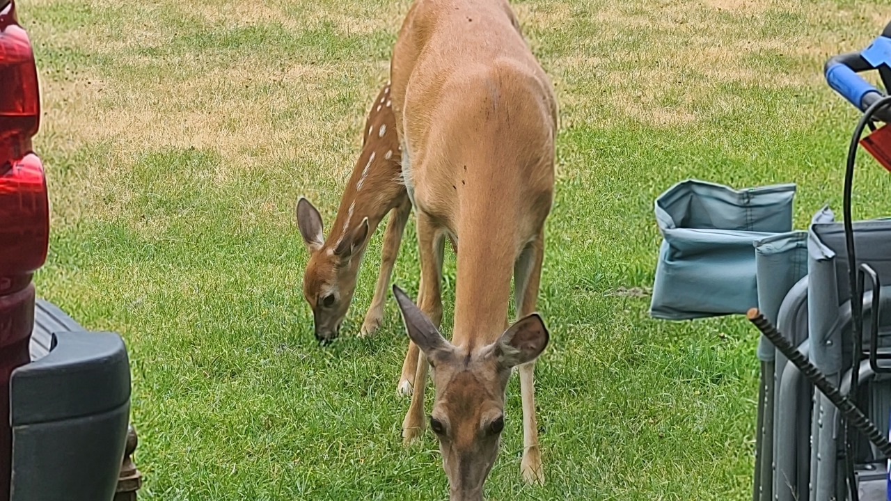 Photo of Outdoor in Kalispell
