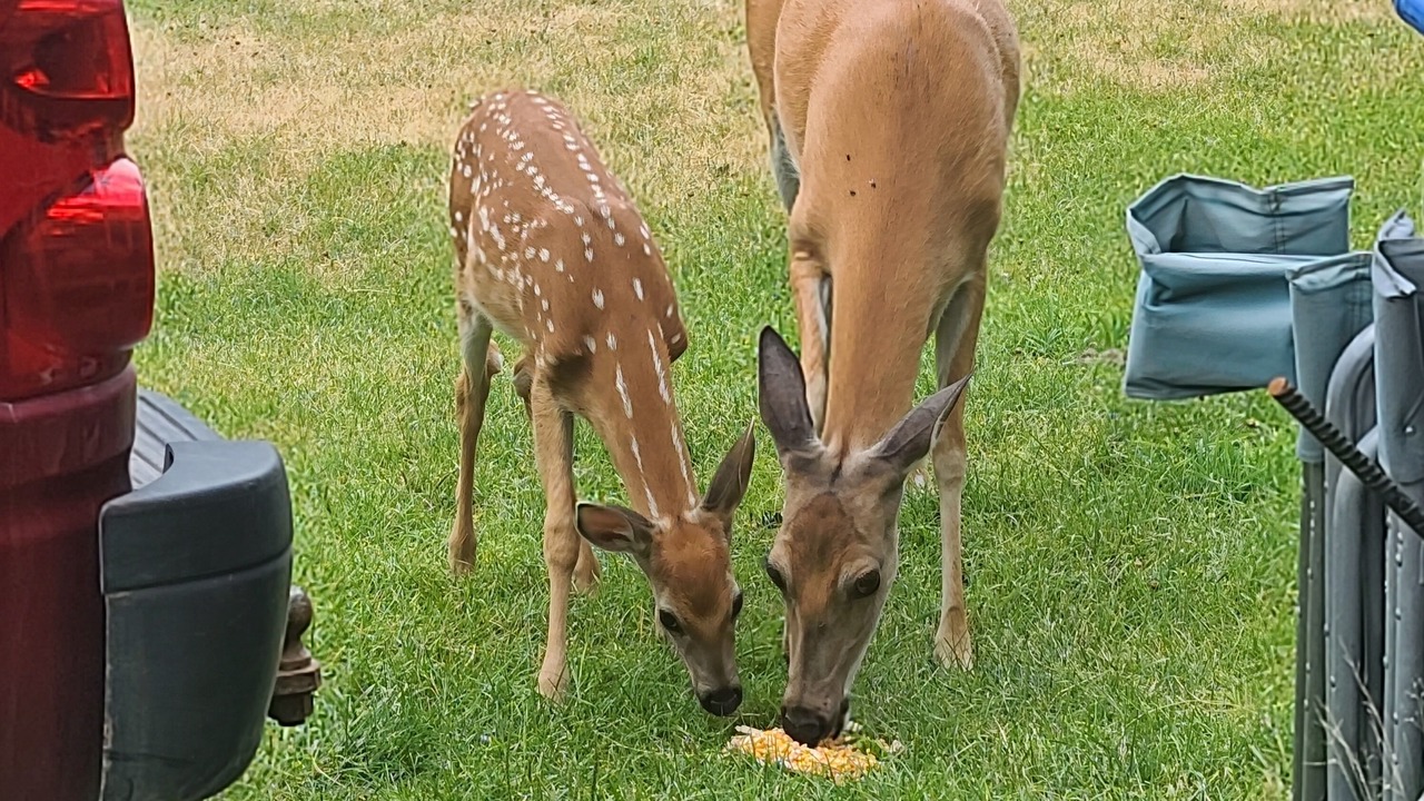 Photo of Outdoor in Kalispell